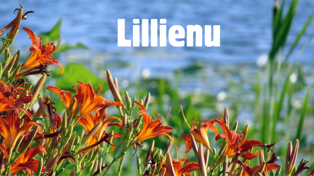 Lillienu