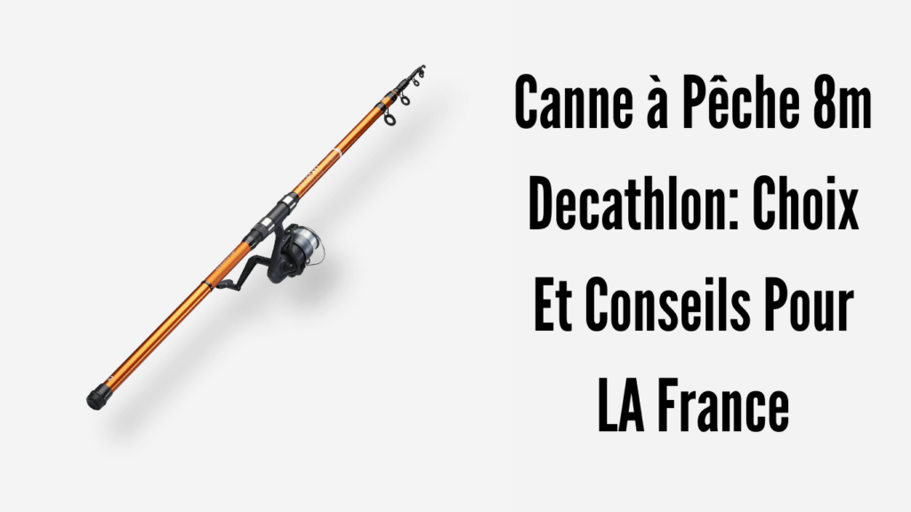 Canne à Pêche 8m Decathlon: Choix Et Conseils Pour LA France