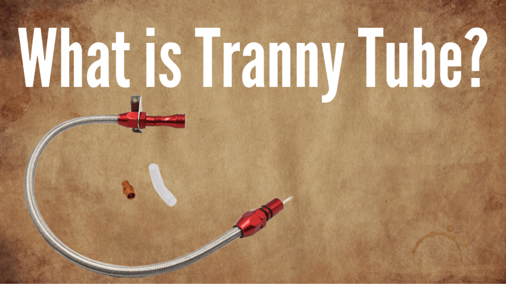 Tranny Tube