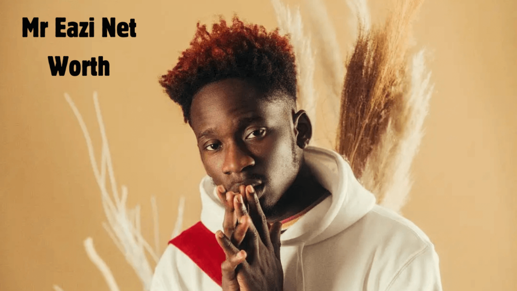 Mr Eazi Net Worth