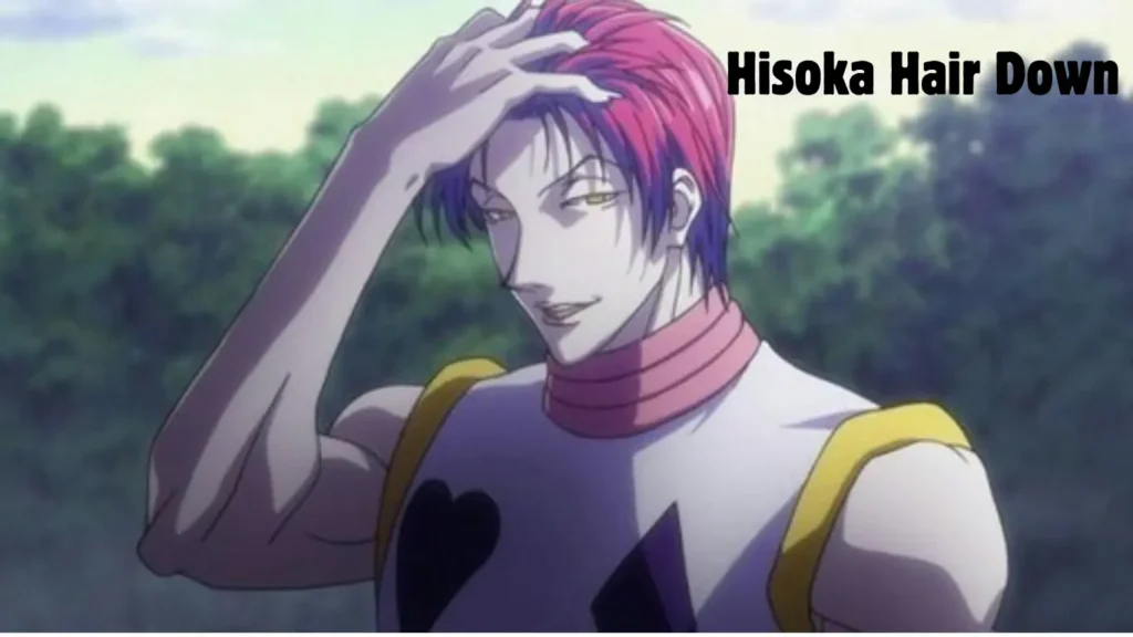 Hisoka Hair Down