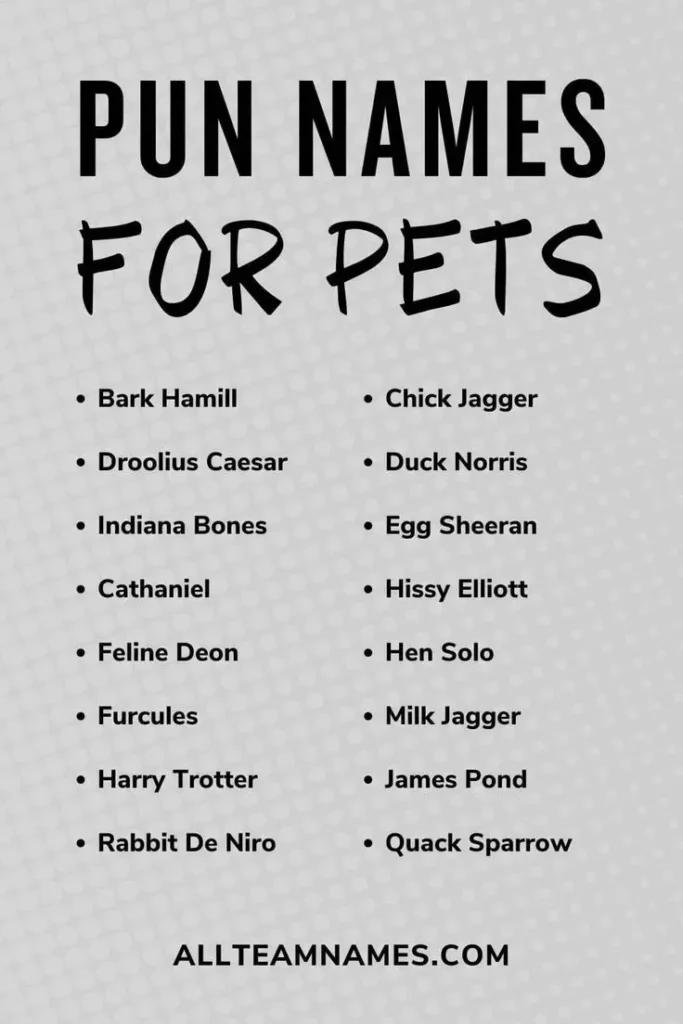 Punny Names